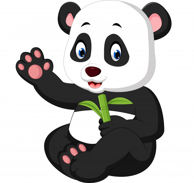 626x593 Panda Vectors, Photos And Free Download