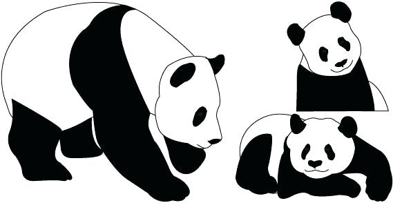 569x294 Cartoon Drawings Of Pandas