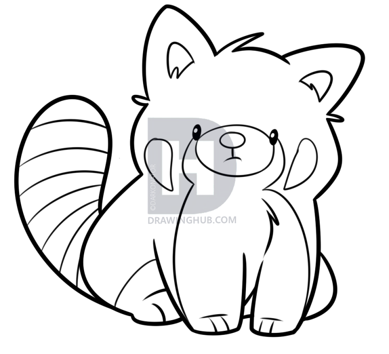 791x720 How To Draw A Red Panda, Step
