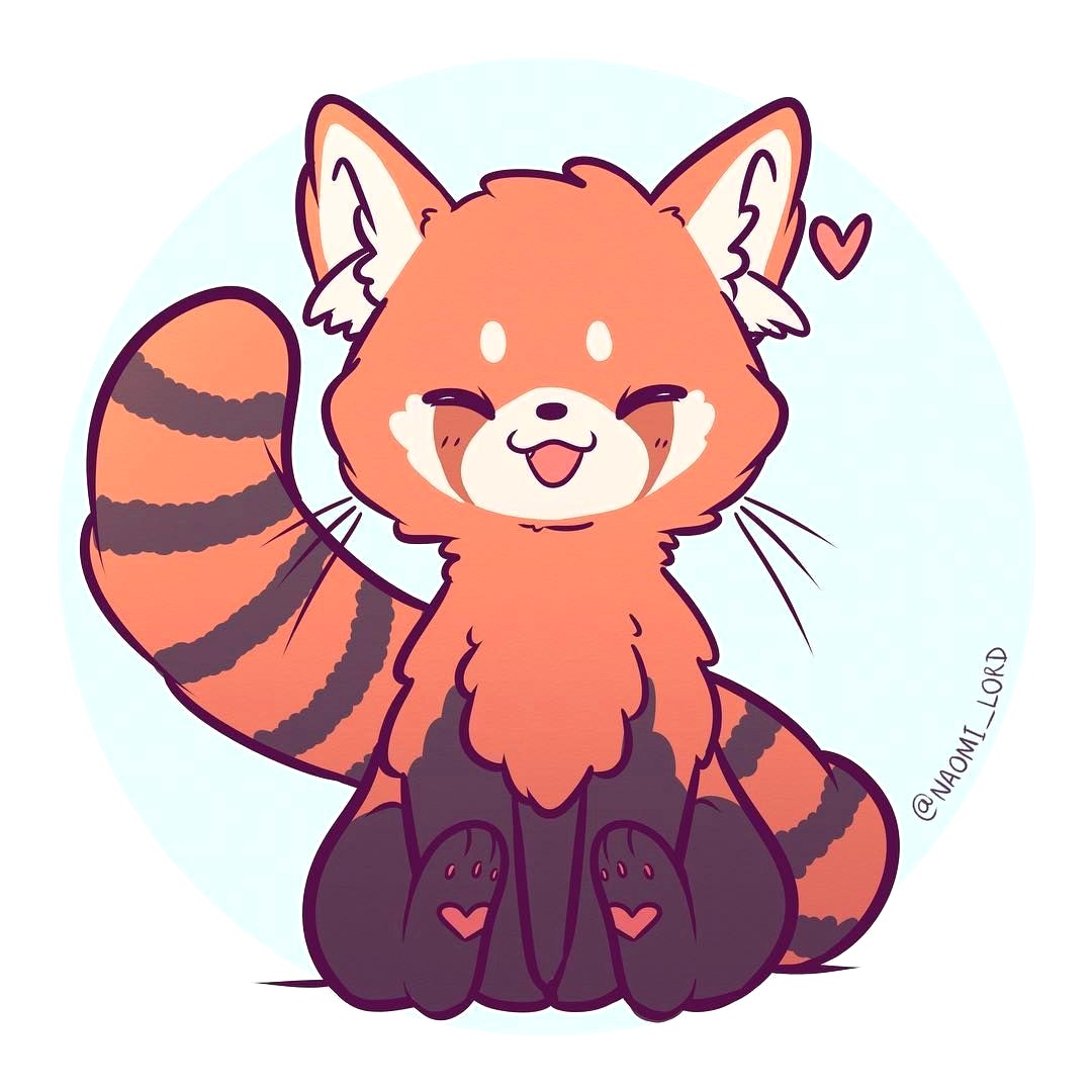 1080x1080 How To Draw A Cartoon Red Panda Thekindproject Simple Cute Drawing