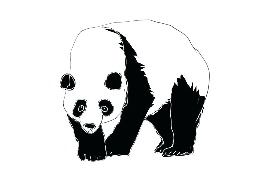 875x606 how to draw a giant panda panda drawing how to draw giant pandas