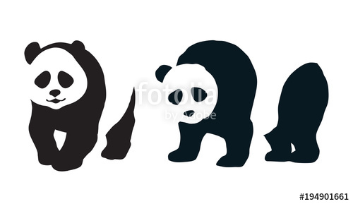 500x289 Panda Vector Drawing Stock Image And Royalty Free Vector