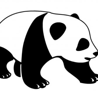 336x336 Cute Baby Panda Drawing Step