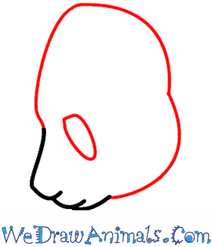 300x350 How To Draw A Panda