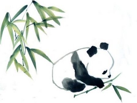 448x336 Giant Panda Drawing Pandas Need To Be Protected Asia For Kids