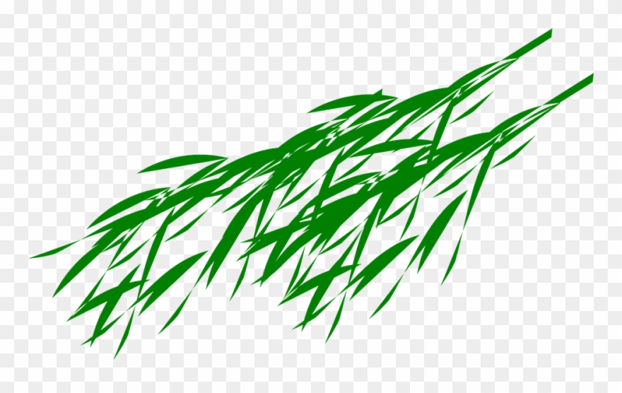 880x556 Green Leaves Clipart Bamboo Leave