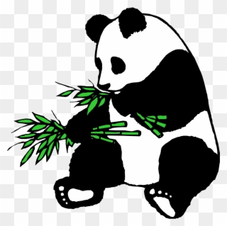 320x319 Panda