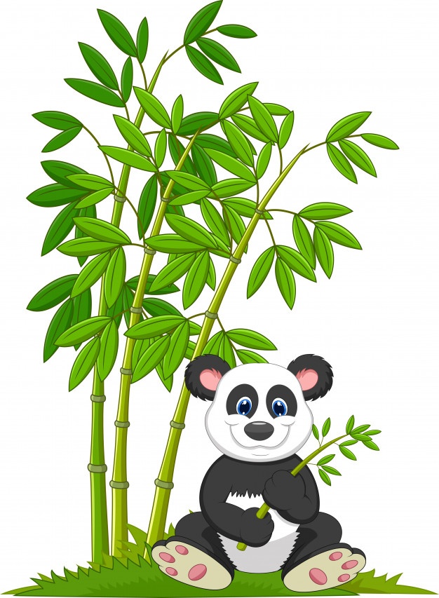 626x853 Cartoon Panda Eating Bamboo Vector Premium Download