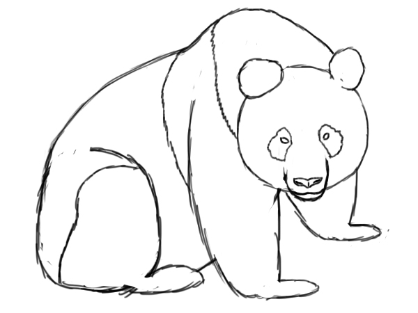 600x450 How To Draw A Panda