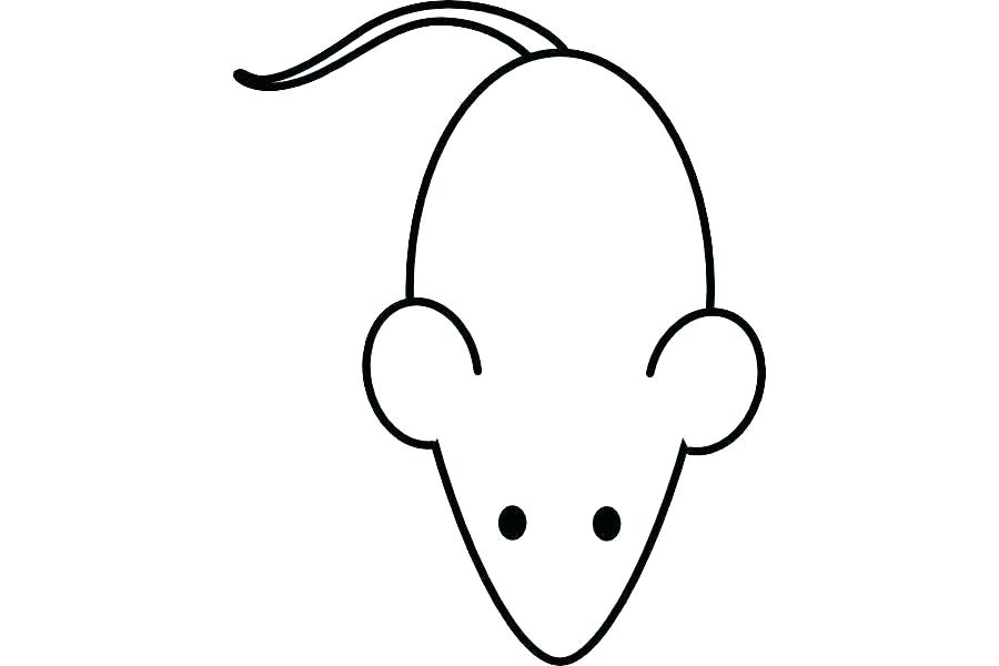 900x600 Panda Face Template