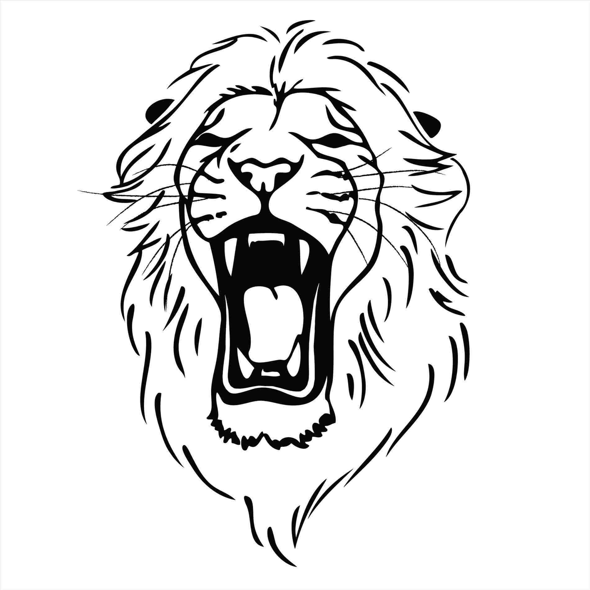 1900x1900 Lion Lions Head Roaring Drawing Roaring Drawing
