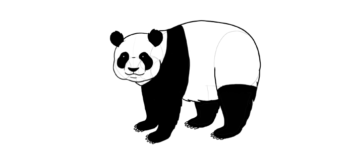 702x308 How To Draw A Panda Tutorial