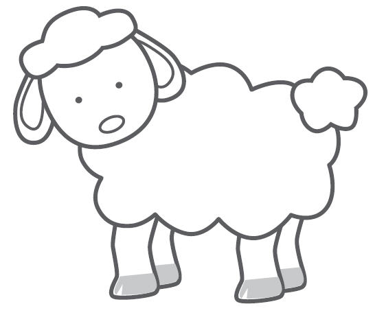 546x459 Sheep Line Drawing
