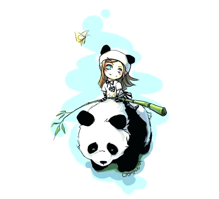 900x820 Drawing A Panda Bear Panda Bear Greeting Cards How To Draw A Cute
