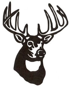 236x286 Deer Skull Drawing