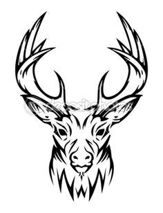 236x308 Deer Skull Drawing