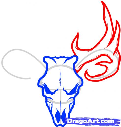 493x520 Deer Skull Drawing