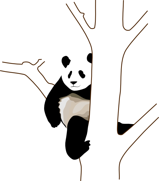 616x700 Drawing Pandas Bamboo Transparent Png Clipart Free Download