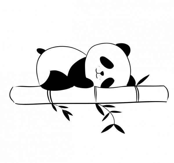 600x564 osito panda panda panda drawing, cute panda drawing