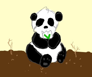 300x250 Panda Photo