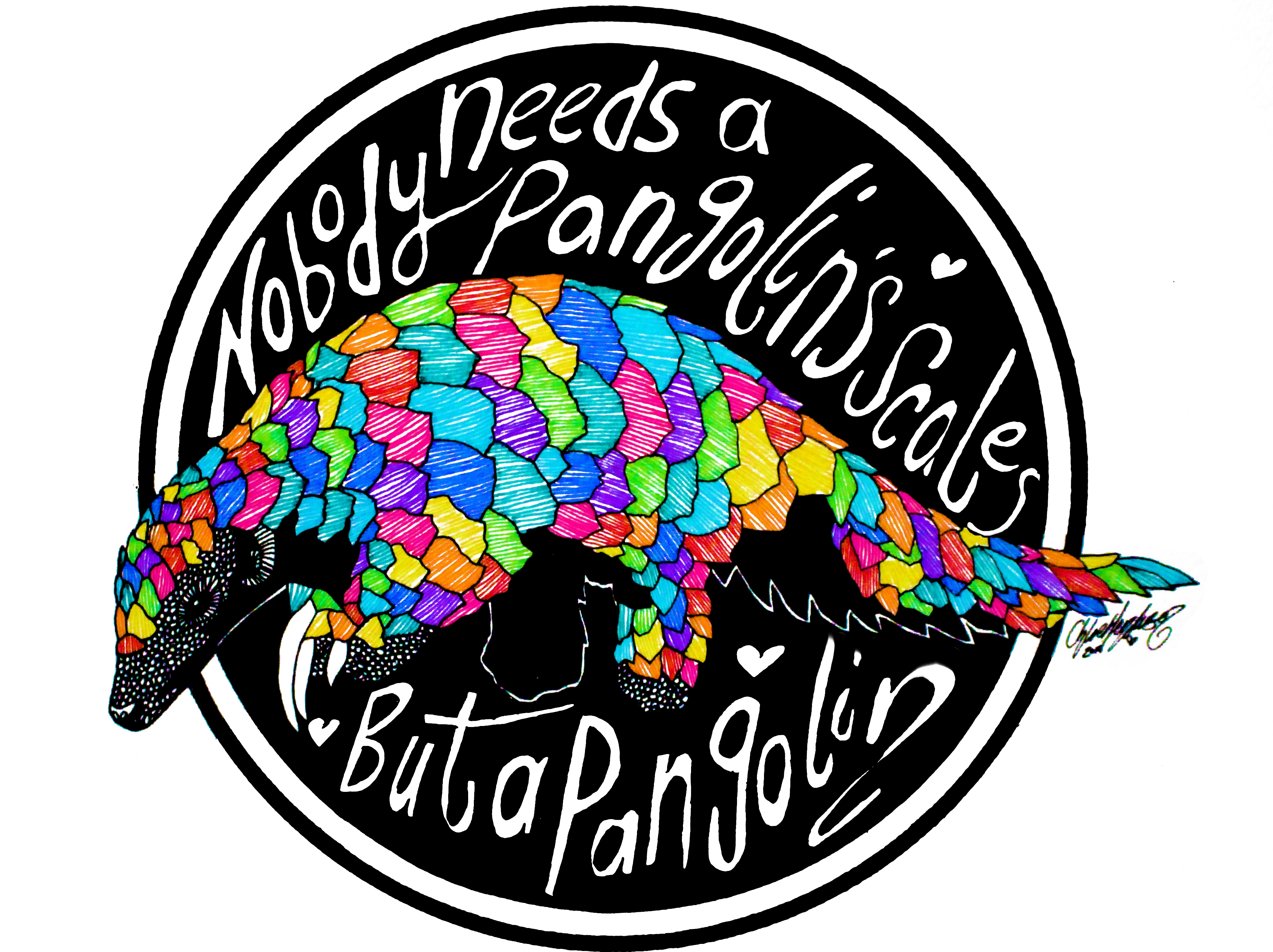 3769x2818 nobody needs a pangolin's scales but a pangolin chloe henderson