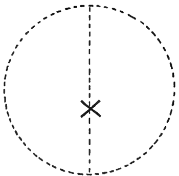 350x343 how to draw pansies with step