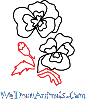 300x350 How To Draw A Pansy Flower