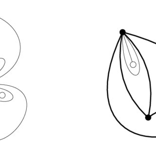 320x320 On The Left, A Typical Pansy Diagram With N = In The Middle