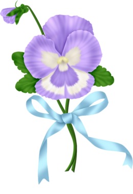 260x380 Pansy, Drawing, Flower, Transparent Png Image Clipart Free Download