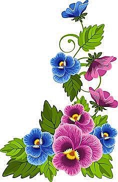 236x364 best pansies images paintings, drawings, flower designs