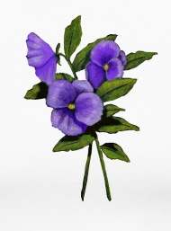 190x257 realismart purple pansies pansy flowers color pencil drawing