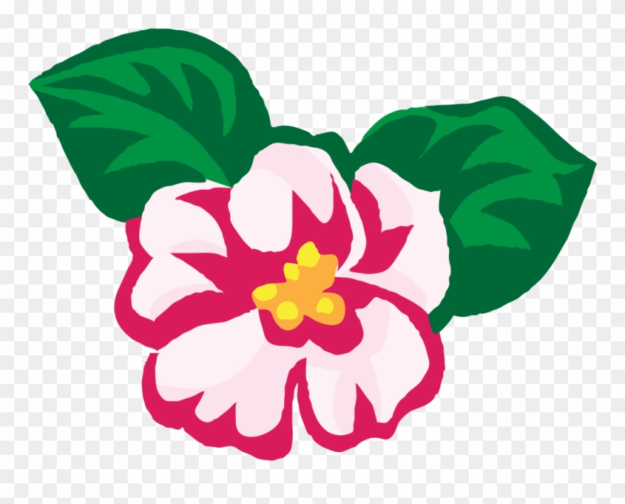 880x709 How To Grow African Violets Flower Download