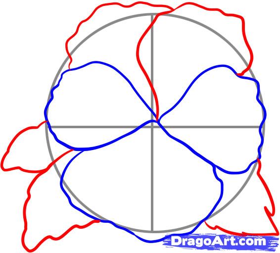 566x511 How To Draw A Pansy, Step
