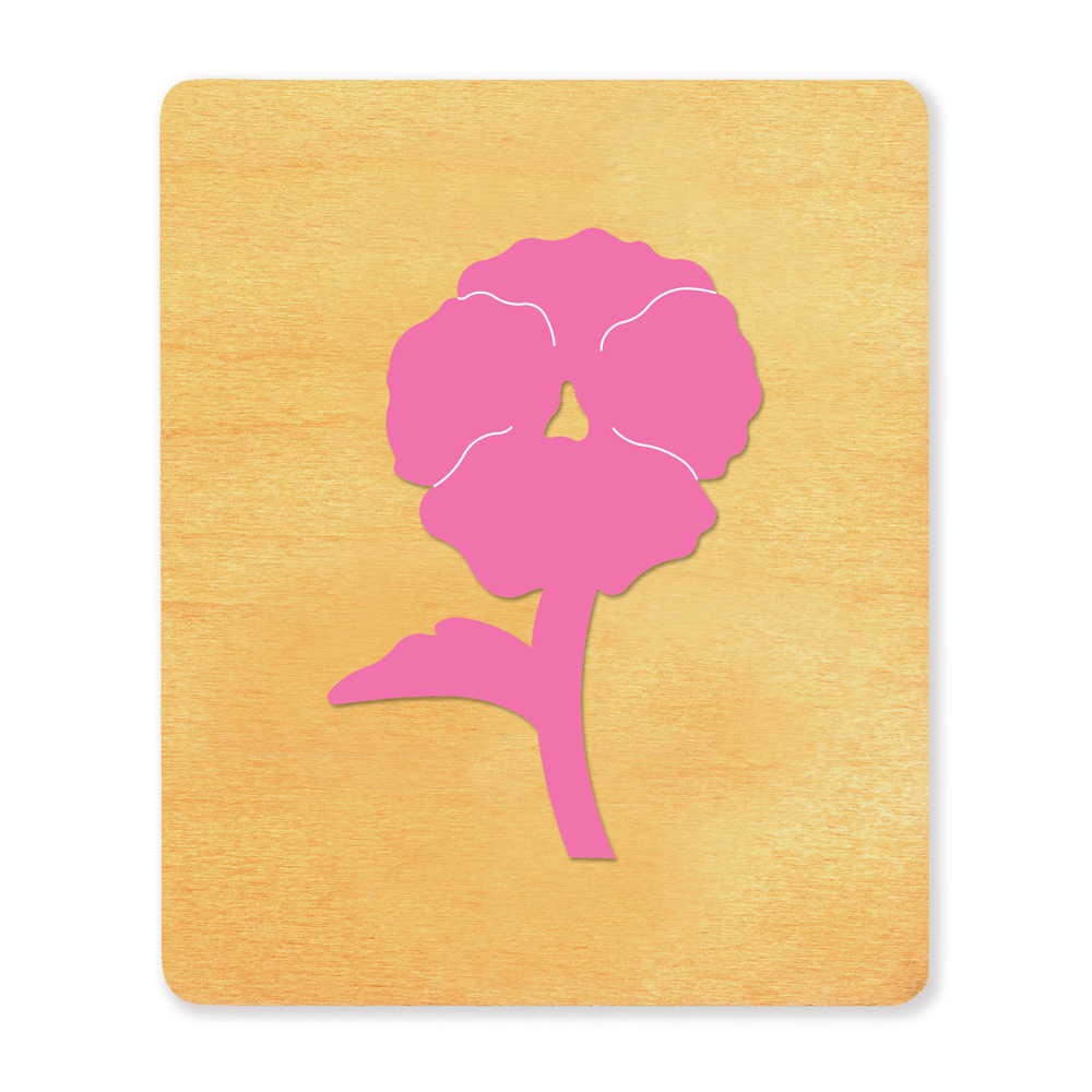 1000x1000 Pansyflower The Teacher Resource Center