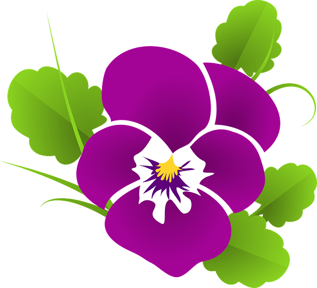 640x581 Collection Of Free Pansy Drawing Clipart Download On Ui Ex