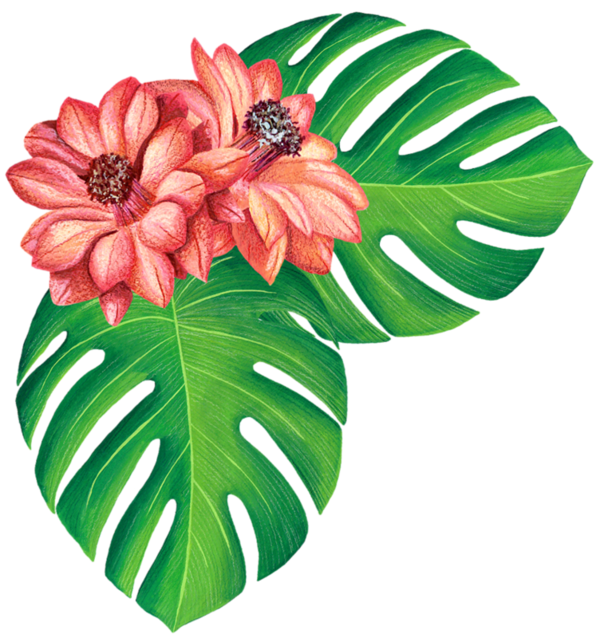 600x638 Collection Of Free Pansy Drawing Lobelia Download On Ui Ex