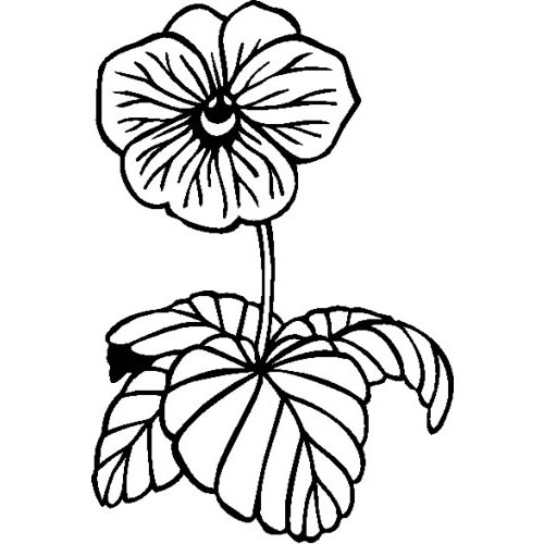 500x500 Pansy Decals And Stickers, The Home Of Quality Decals And Stickers
