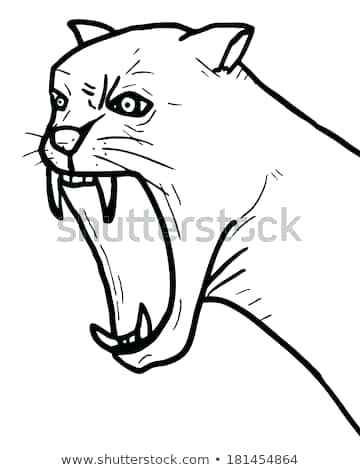 360x470 How To Draw A Panther Draw Panther Black Running