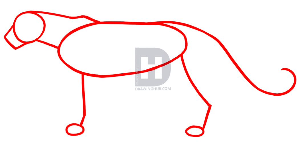 1080x501 How To Draw Panthers, Black Panthers, Step