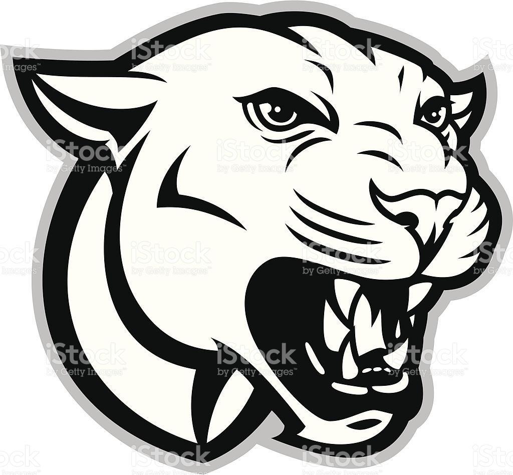 1024x948 Huge Collection Of 'panther Head Drawing' Download More Than