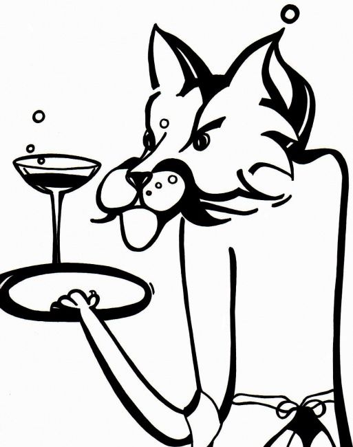 513x650 White Panther Drawing