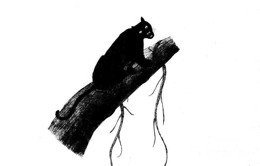 900x576 Black Panther Drawing