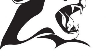 367x195 Panther Outline Vector Archives