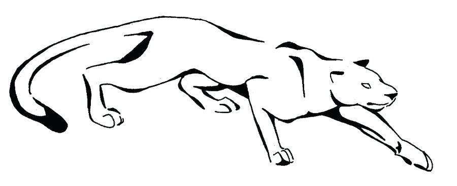 Panther Drawing Outline | Free download on ClipArtMag