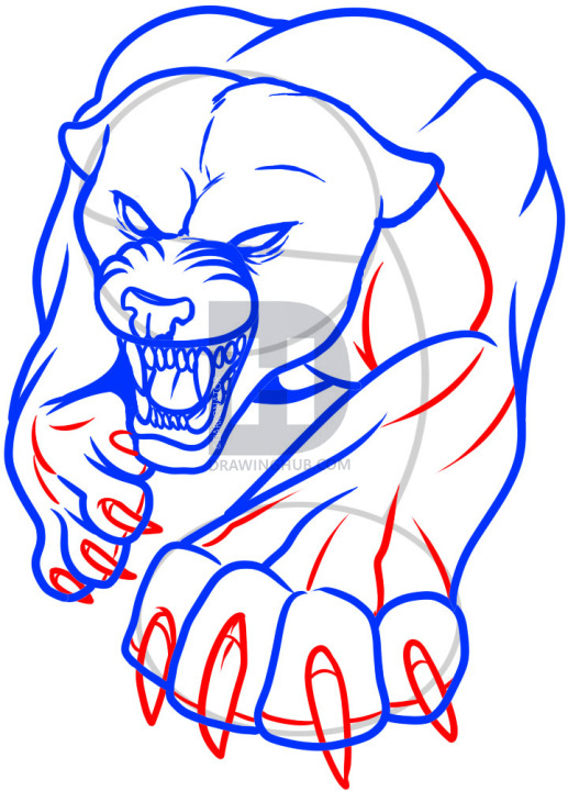 517x720 How To Draw A Panther Tattoo, Panther Tattoo, Step