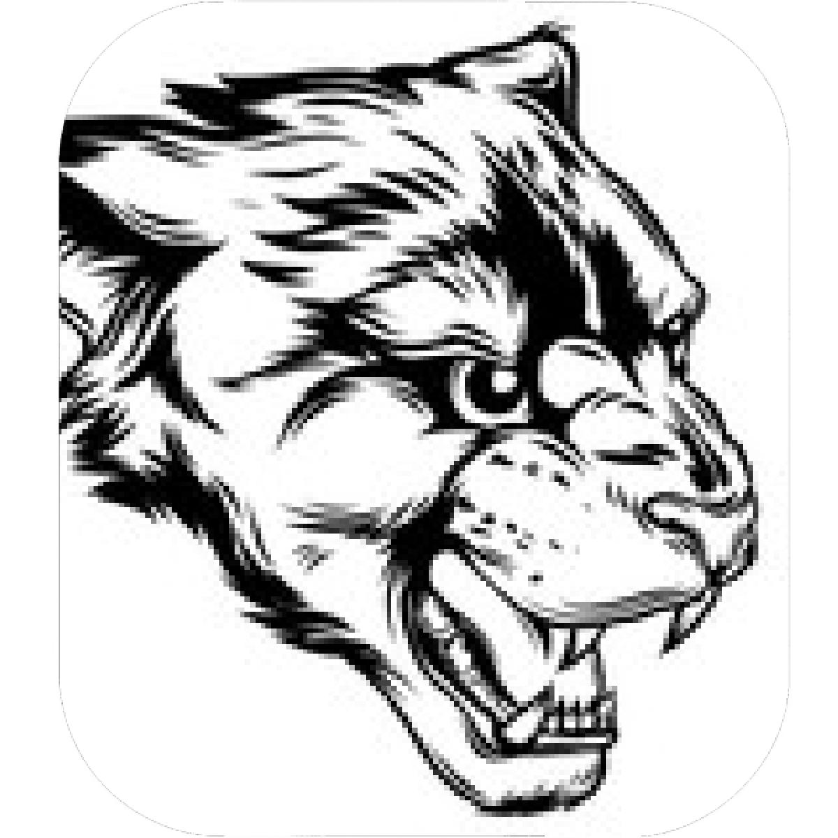 Panther Head Drawing | Free download on ClipArtMag