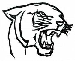 Panther Head Drawing | Free download on ClipArtMag