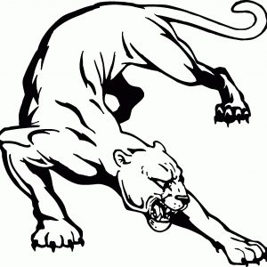 300x300 How To Draw A Panther Head Archives