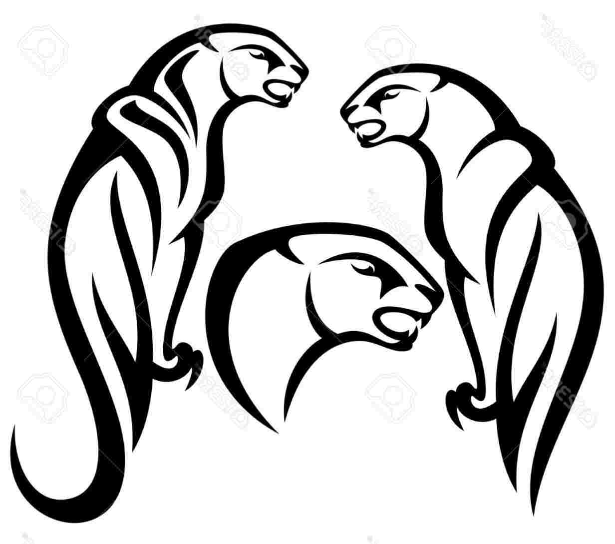 1232x1089 How To Draw A Panther Head Step