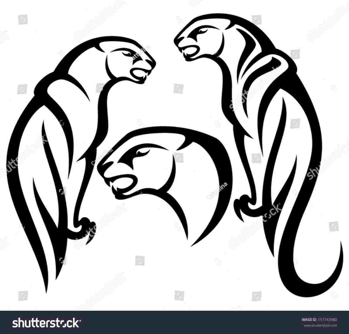 1185x1133 Simple Panther Head Drawing